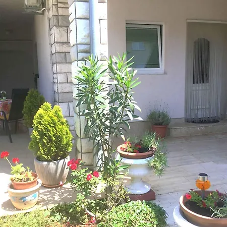 Apartment 37 *